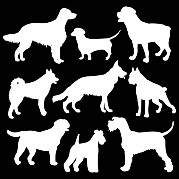 White Silhouettes Dogs Black Background Vector Illustration Set Different Breeds — Stock Vector