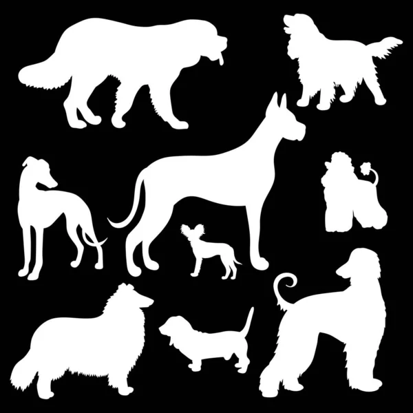 Siyah Arka Planda Beyaz Köpek Siluetleri Vektör Illüstrasyonu Farklı Türler — Stok Vektör