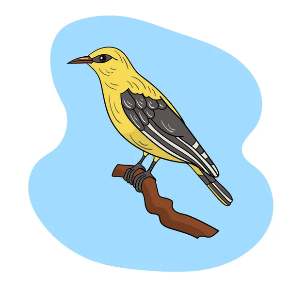 Птица Ориоле Ветке Против Голубого Неба Векторная Иллюстрация — стоковый вектор