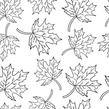 Akçaağaç yapraklı vektör deseni, çocuklar ve yetişkinler için renklendirme sayfası