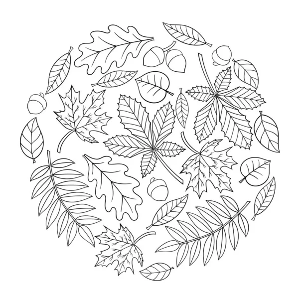 Coloriage Avec Des Feuilles Automne Forme Cercle Illustration Vectorielle Pour — Image vectorielle