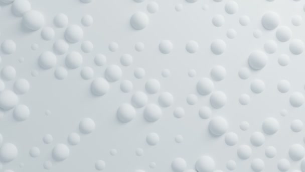 Belle sfere bianche sulla superficie che si muovono in perfetta animazione 3d. Sfondo astratto Motion Design. Processo generato dal computer. 4k UHD 3840x2160 . — Video Stock