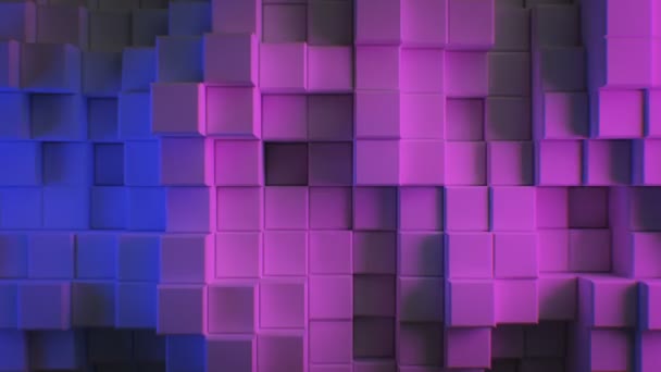 Hermosos cubos abstractos en azul y púrpura luz ultravioleta Looped 3d animación. Fondo inconsútil móvil de la pared del color en 4k Ultra HD 3840x2160 . — Vídeo de stock