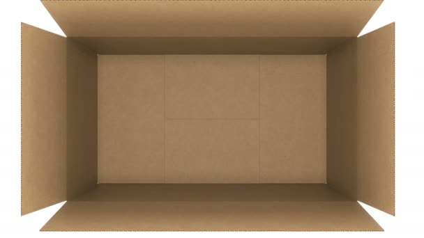 Top View of Cardboard Box Opening and Closing on White and Black  Backgrounds with Alpha Mask Seamless. Looped 3d Animation of Storage Box.  Delivery Concept. 4k Ultra HD 3840x2160. — Stock Video ©