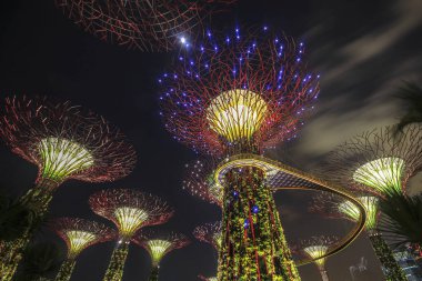 Körfez kıyısındaki Gardens, Singapur 'un merkezinde 101 hektarlık geri kazanılmış araziyi kapsayan bir doğa parkıdır..