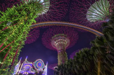 Körfez kıyısındaki Gardens, Singapur 'un merkezinde 101 hektarlık geri kazanılmış araziyi kapsayan bir doğa parkıdır..