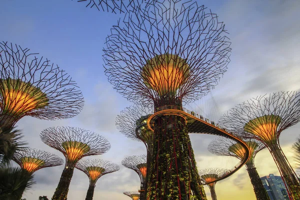 Körfez Kıyısındaki Gardens Singapur Merkezinde 101 Hektarlık Geri Kazanılmış Araziyi — Stok fotoğraf