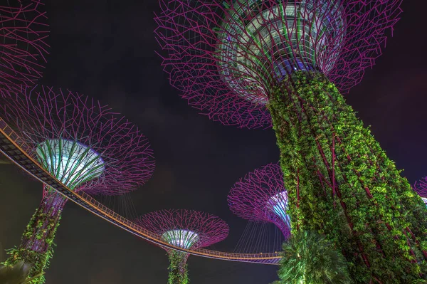 Körfez Kıyısındaki Gardens Singapur Merkezinde 101 Hektarlık Geri Kazanılmış Araziyi — Stok fotoğraf