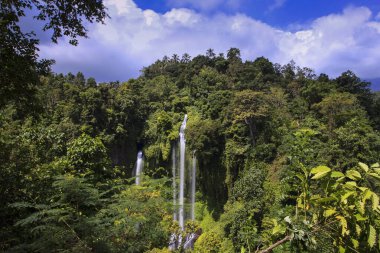 Bali Adası, Endonezya takımadalarının bir parçası ve dünyanın en ünlü Endonezya turizmidir. Bu adayı diğerlerinden daha özel yapan manzara ve eşsiz kültüre sahip.. 