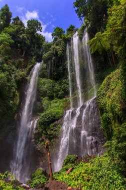 Bali Adası, Endonezya takımadalarının bir parçası ve dünyanın en ünlü Endonezya turizmidir. Bu adayı diğerlerinden daha özel yapan manzara ve eşsiz kültüre sahip.. 