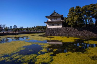 Tokyo İmparatorluk Sarayı, Japonya İmparatoru 'nun olağan ikametgahıdır. Chiyoda bölgesinde bulunan arge parkına benzer bir alandır ve ana saray ve Kraliyet Ailesi 'nin bazı evleri de dahil olmak üzere çeşitli binalara sahiptir..