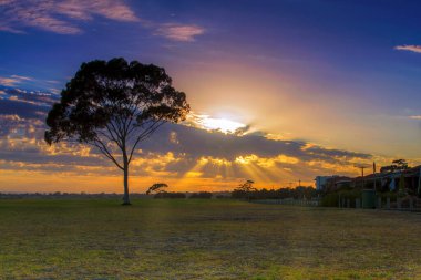 Point Walter, Batı Avustralya 'daki Kuğu Nehri' nin bir noktasıdır. Point Walter, Bicton banliyösünde, Perth Cbd 'nin yaklaşık 12 km güneyinde ve Fremantle' ın 7 km kuzeydoğusunda yer almaktadır..