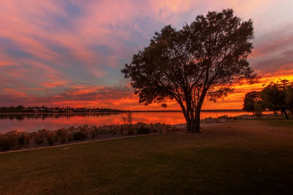 Point Walter Point Swan River Western Australia Point Walter Located — Stock Photo, Image