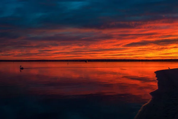 Point Walter Point Swan River Western Australia Point Walter Located — Stock Photo, Image