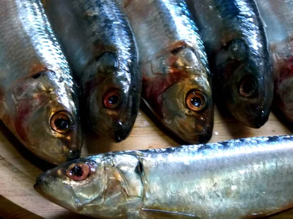 Fresh Sardines Wooden Cutting Board — Stock Photo, Image