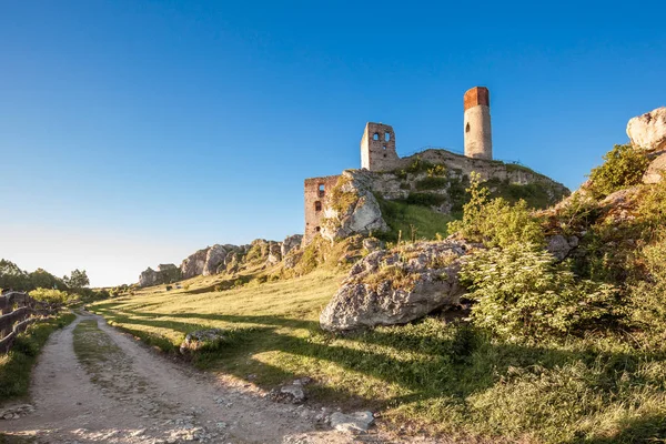 Ruinen Der Burgmauer Burg Olsztyn Der Region Jura Stockbild