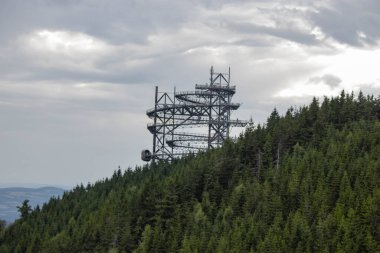 Bir tepeden panoramik manzara. Gökyüzü ve kozalaklı ormanın arka planında bir tepenin üzerinde bir gözlem kulesi bulunmaktadır. Orman yamacı yukarı doğru uzanan yoğun yeşil ağaçlarla kaplıdır..