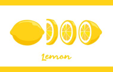  Meyve illüstrasyon paketi bütün ve dilimlenmiş limon