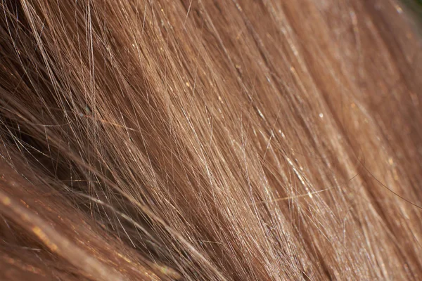 Cabello castaño claro, macro de alta calidad — Foto de Stock