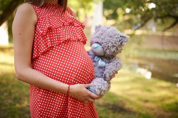 Живіт вагітної жінки, червоний у білій сукні з крапкою поляка, з руками, покладеними на неї, в руках плюшевого ведмедя — стокове фото