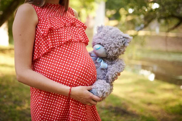 Brzuch kobiety w ciąży, w kolorze czerwonym w białej sukni kropki, z rękami umieszczonymi na nim, w rękach misia — Zdjęcie stockowe