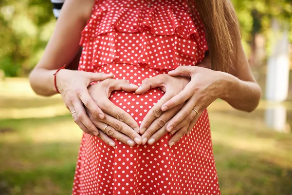 The couple's hands folded in the heart, on the belly of a pregnant girl, in a red dress Stock Image