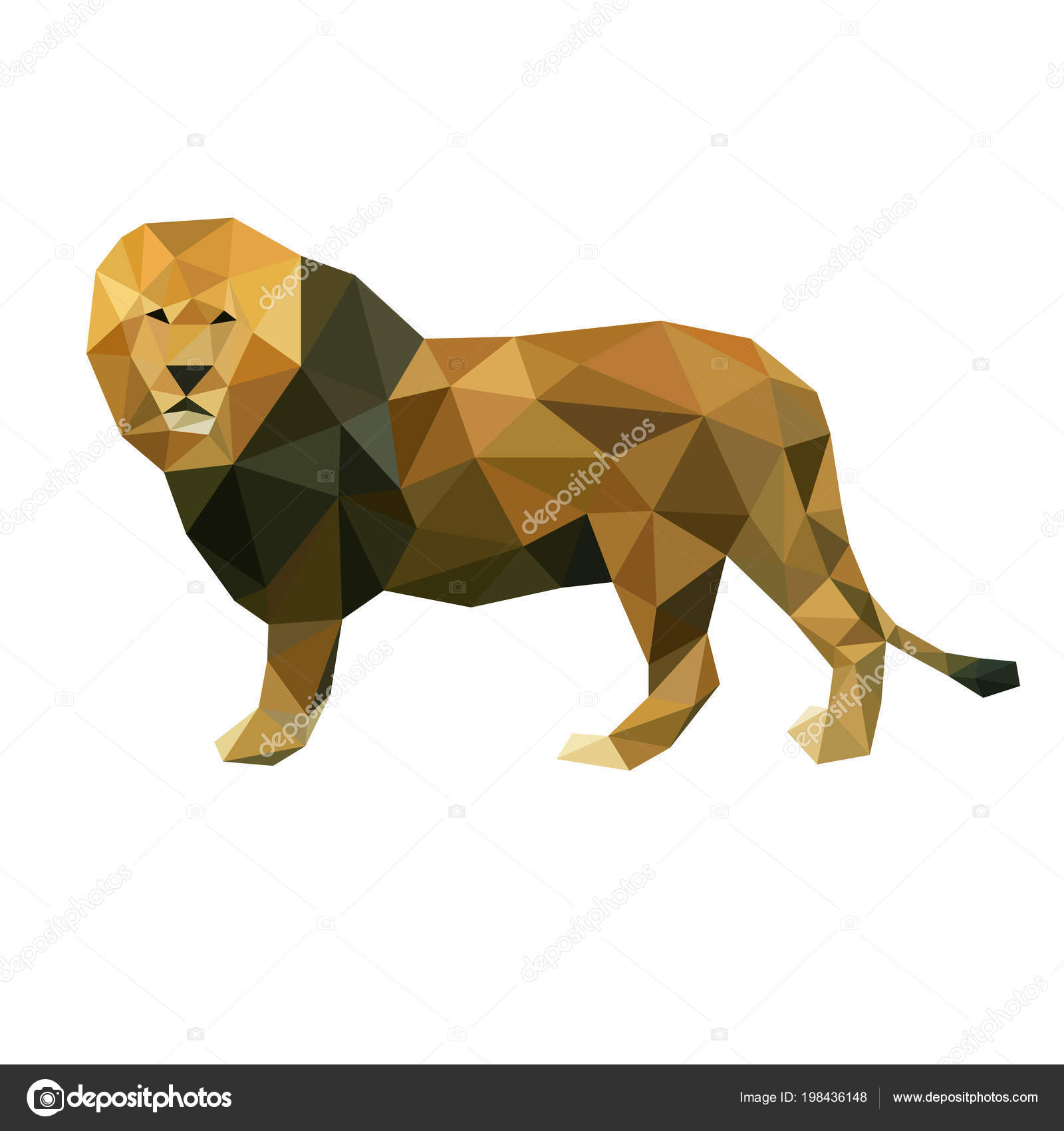 Lion Chart