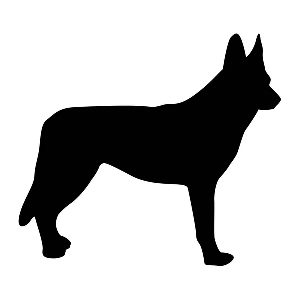 犬の黒いベクター シルエット — ストックベクタ
