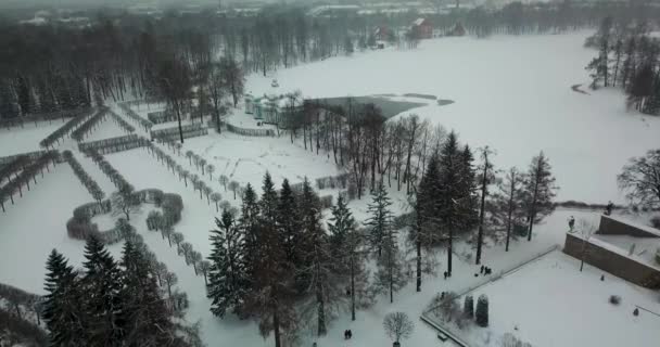 Widok na park piękny kraj z pałacu — Wideo stockowe