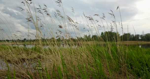 Piękny widok na rzekę Volga — Wideo stockowe