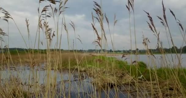 Uitzicht vanaf de top van de rivier met het parkeren van jachten, kterov — Stockvideo
