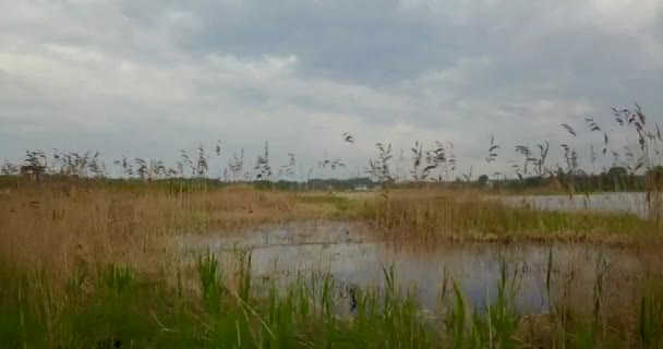 Uitzicht vanaf de top van de rivier met het parkeren van jachten, kterov — Stockvideo