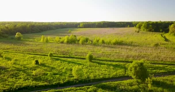 Der Blick von der Spitze des großen schönen Flusses — Stockvideo