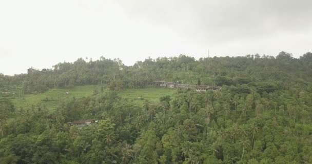 Rizs teraszok, Bali, Indonézia, föld rizs teraszok 4k — Stock videók