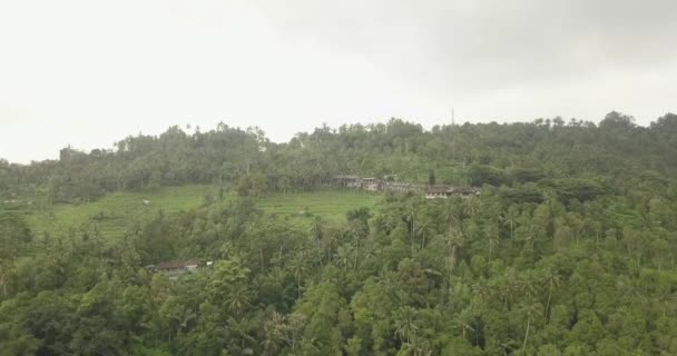 Rijst terrassen, Bali, Indonesië, Land rijstterrassen 4k — Stockvideo