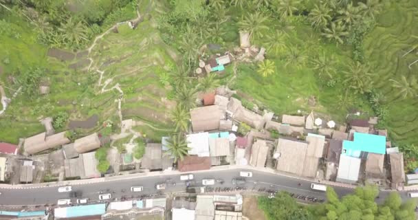 Terraços de arroz, Bali, Indonésia, Terraço de arroz 4K — Vídeo de Stock