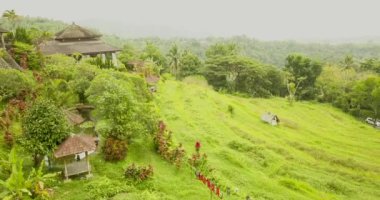 Güzel bir gün inanılmaz teraslar yukarıda hava video.