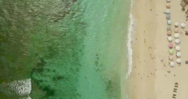 Gyönyörű tengerpart légi felvétel: 4 videó, a turisták a tengerparton napozik — Stock videók