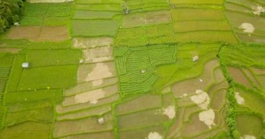 Güzel bir gün inanılmaz teraslar yukarıda hava video.