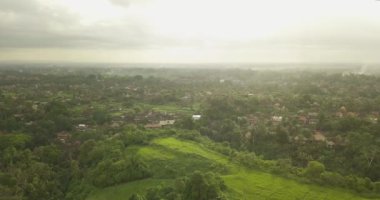 Sanatçı Ubud, Endonezya iz