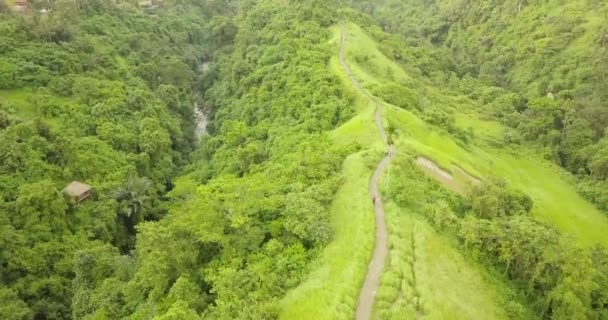 A művész, Ubud, Indonézia nyomában — Stock videók