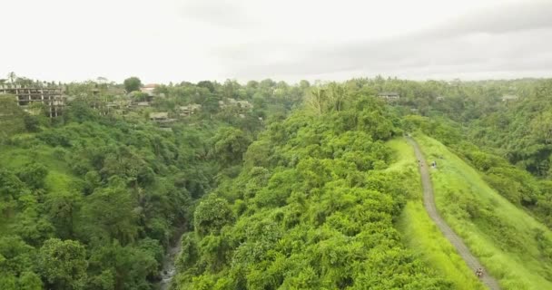 A művész, Ubud, Indonézia nyomában — Stock videók