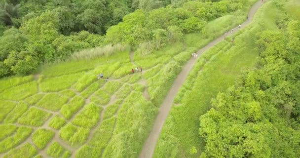 Trail of the artist Ubud, Indonesia — Stock Video