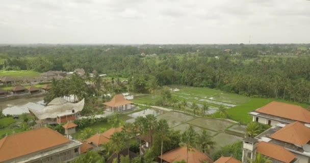 Город Убуд, прекрасный вид с высоты птичьего полета, Индонезия 4k видео — стоковое видео
