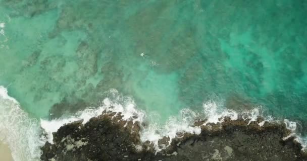 아름 다운 열 대 해변, 조감도, 4 k 비디오, 인도네시아 — 비디오