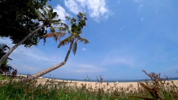 Красивий вид на тропічний пляж, красиве море Азія — стокове відео