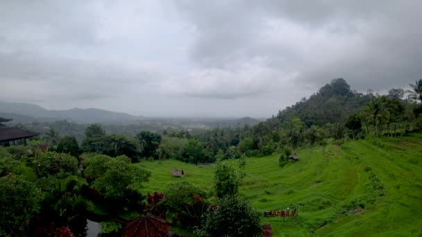 Vista de terrazas de arroz en indonesia — Vídeos de Stock