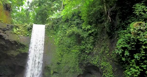 Красивый каскадный водопад, желающий Бали Индонезии , — стоковое видео