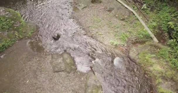 Schöner fallender wasserfall, wünsch bali indonesien, — Stockvideo