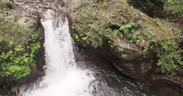 Cachoeira cascata pequena bonita em Bali — Vídeo de Stock